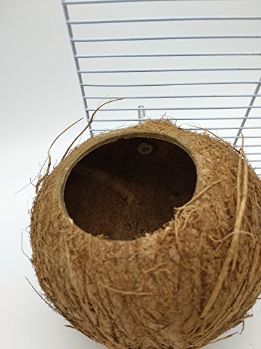 image for Hypeety Pet Bird Breeding Nest Coconut House Swing Ladder Toys Parrot 