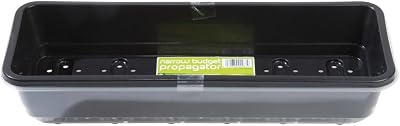 Garland Budget Windowsill Propagator, 23cm Half-Size Seed Tray