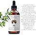 Laritelle Organic Loss Prevention for Men/Women, Prevents Shedding, Promotes New Healthy Hair Growth and Scalp Health, Rosemary/Lemongrass/Ginger/Cedarwood, 4 oz.