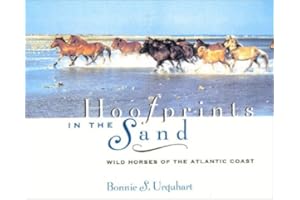 Hoofprints In The Sand: Wild Horses of the Atlantic Coast