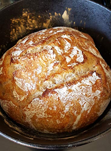 Wild Wheat Sourdough Starter Dehydrated