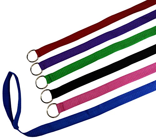6 Foot Slip Lead, Slip Leads, Kennel Leads with O Ring for Dog Pet Animal Control Grooming, Shelter, Rescues, Vet, Veterinarian, Doggy Daycare (6 Pack, Colors: Various) By Downtown Pet Supply