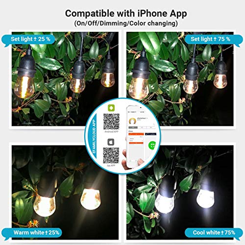 FOXLUX Outdoor String Lights - 48FT Dimmable Smart Outdoor Lights, S14 Plastic Shatterproof and Waterproof LED Lighting, 24 Hanging Sockets, WiFi Control(iOS & Android), Compatible with Amazon Alexa