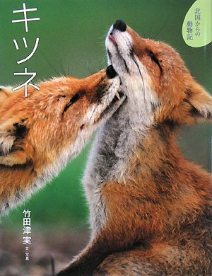 キツネ 北国からの動物記 実 竹田津 本 通販 Amazon キツネ 北国からの動物記 実 竹田津 本 通販 Amazon