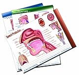 Voice, Swallowing, Speech Production Tablets, Set-50 Sheets Per Tablet-3 Tablets Per Package-8 1/4