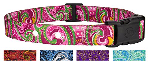 Country Brook Design Pink Paisley Replacement Collar for Dog Fence Receivers