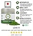 eco heed Matcha Green Tea Powder Organic Ceremonial Grade 1.4oz - 1st Harvest Premium Matcha From Uji – Matcha Wellness