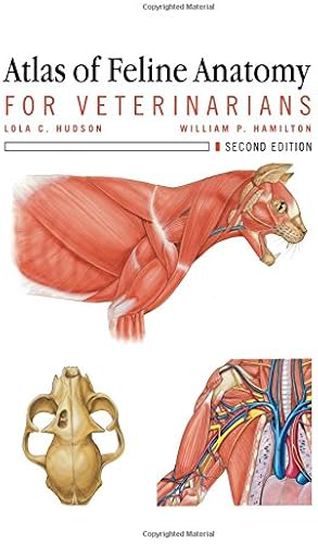 Download Atlas of Feline Anatomy For Veterinarians PDF