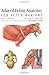 Atlas of Feline Anatomy For Veterinarians by Lola Hudson, William Hamilton