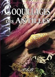Coquillages des Antilles françaises