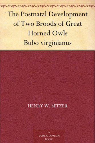 The Postnatal Development of Two Broods of Great Horned Owls Bubo virginianus