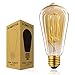 Homesita ST64 110V Vintage Antique Edison Style Incandescent Clear Glass Light Lamp Bulb Dimmable(6 pack)