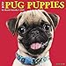 Just Pug Puppies 2020 Wall Calendar (Dog Breed Calendar) by