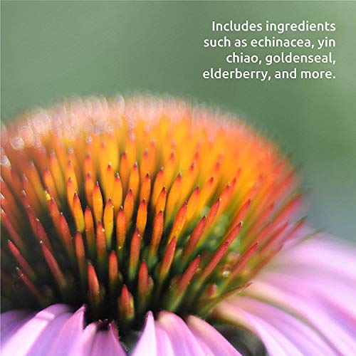 Source Naturals Wellness Herbal Resistance Liquid - Immune System Support with Echinacea, Coptis & Yin Chiao - 8 Fluid oz