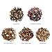 Tea Forte Single Steeps Loose Leaf Tea Sampler Warming Joy
