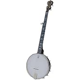Deering Artisan Goodtime 5 String Openback Banjo