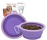 Prima Pet Expandable / Collapsible Silicone Food & Water Travel Bowl with Clip for Medium & Large Dog, Portable and Durable Pop-up Feeder for Convenient On-the-go Feeding, Size: 5 Cups (7 Inch Diameter Bowl) (LARGE (5 CUPS), PURPLE)