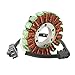 XFMT Motor Lichtmaschine Magneto Generator Engine Alternator Stator Coil Compatible with YAMAHA YZF R6 YZF-R6 2006-2025