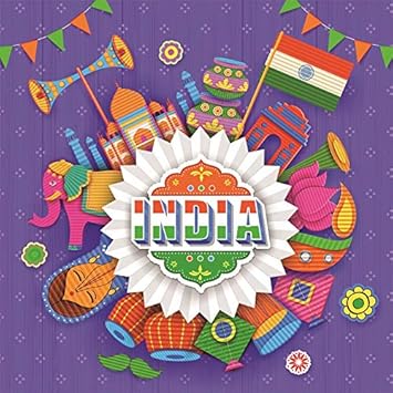 Amazon Com Minishot 4x4ft Cartoon India Flag Photography