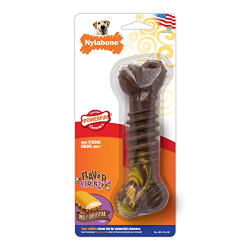 Nylabone Flavor Frenzy Souper Dura Chew Cheesesteak Flavored Bone Dog Chew Toy