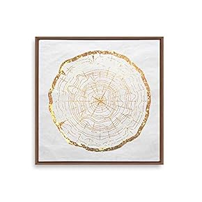 Framed Golden Abstract Annual Rings Home Artwork for...