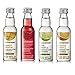 SodaStream Fruit Drops Variety Pack - Mango, Raspberry, Lime & Orange (1.36fl oz)
