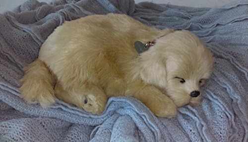 Breathable Golden Puppy Companion Pet for People with Memory Loss from Aging and Caregivers