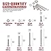 Hilitchi 300-Piece M2 Phillips Pan Head Screws Bolt Nut Lock Flat Washers Assortment Kit, 304 Stainless Steel