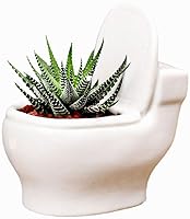 Ceramic Toilet Plant Pot/Bonsai Pot/Flower Pot/Succulent Planter(White)