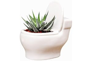 MONMOB Ceramic White Toilet Plant Pot/Bonsai Pot/Flower Pot/Succulent Planter 4.6" Ideal Gifts for Women, Mom or Birthdays