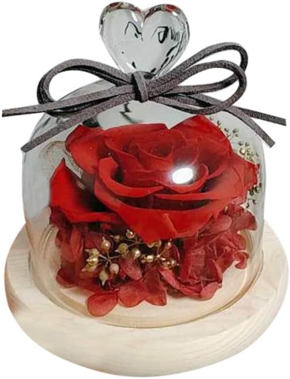 KOERIM Preserved Flower Rose,Handmade Eternal Rose in Glass Dome Gift for Valentine's Day, Mother's Day,Wedding,Christmas,Anniversary Preserved Fresh Flower