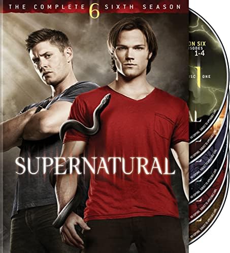 Amazon.com: Supernatural: The Complete Thirteenth Season (DVD