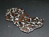Large Brahin Meteorite Slice With Olivine Pallasite