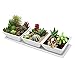Set of 3 Decorative Modern Mini White Square Flower, Succulent Planters/Dishes with Display Tray