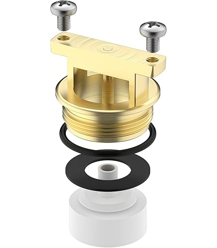 TS Brass B-0969-RK01 Repair Kit for B-0969 Vacuum Breaker Assembly
