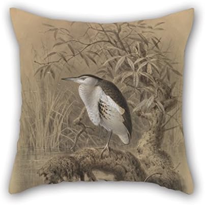 Artistdecor Oil Painting John Gerrard Keulemans - Little Bittern, Ixobrychus Minutus Pillow Covers 20 X 20 Inches / 50 By 50 Cm For Car Seat,living Room,bedding,indoor,wife,home With Twice Sides