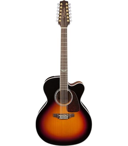 Takamine アコースティックギター ブラウン 6弦 Takamine アコースティックギター ブラウン 6弦 Takamine