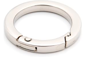 Loosco Metal O Ring for Purse Strap, 4 PCS Spring Rings for Handbag & Keys,Gold (Silver,1")