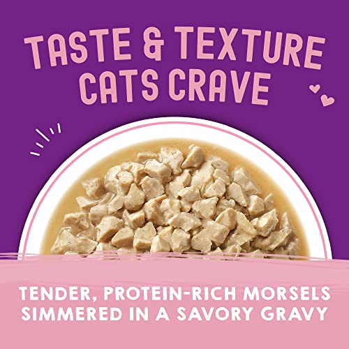 STELLA & CHEWY’S CARNIVORE CRAVINGS MORSELS & GRAVY CHICKEN & SALMON RECIPE WET CAT FOOD POUCHES – (2.8 OUNCE POUCH, CASE OF 12)