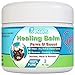 Dog Healing Balm for Paws and Snout - All Natural - Aloe Vera, Tea Tree Oil, Cocoa Butter and Coconut Oil - 2 oz Jar