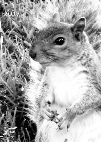 MY BIG FAT CALENDAR 2017 - SQUIRREL (Great Britain): 1 day per page, DIN A4