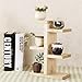 Plant Stand, Small Wood Plant Shelf for Succulent Tabletop Window Flower Garden Rack 6 Tiers for Indoor/Outdoor Decor&Plant Displaythumb 4