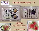 3D Jelly Cake Tools specially -Type 6 - Lily flower - 5 pcs/set