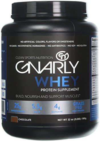 Gnarly Nutrition Whey Sports Protein || All Natural New Zealand Grass Fed Whey Protein (Chiseled Chocolate)