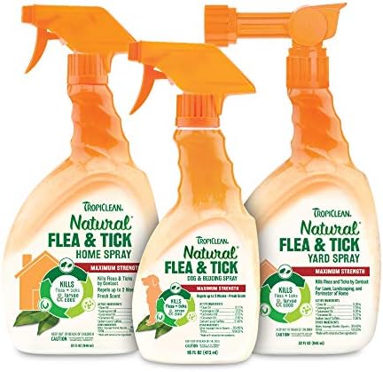 capstar for cats amazon