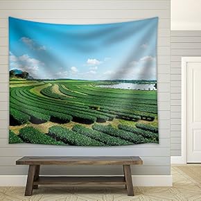 Tea Plantation with Blue Sky and Cloud. - Fabric Wall Tapestry Home Decor - 51x60 inches
