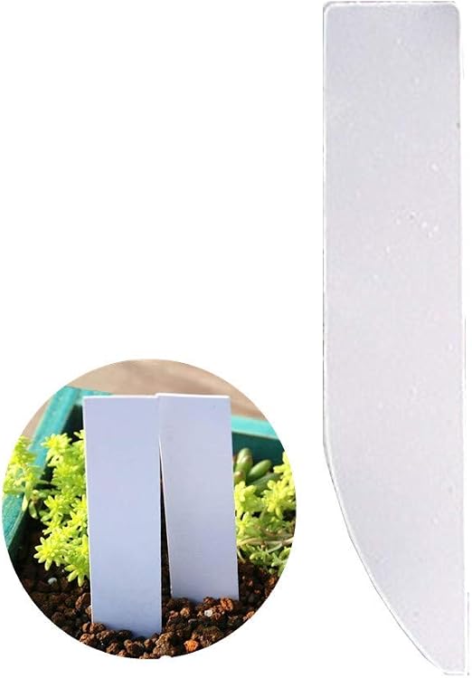 Csheng Etiquetas para Plantas Etiquetas de Plantas para macetas De ...