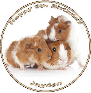 guinea pig cake topper