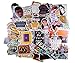 100 pcs Friends tv Show Themed Creative DIY Stickers Funny Decorative Cartoon for Cartoon PC Luggage Computer Notebook Phone Home Wall Garden Window Snowboard