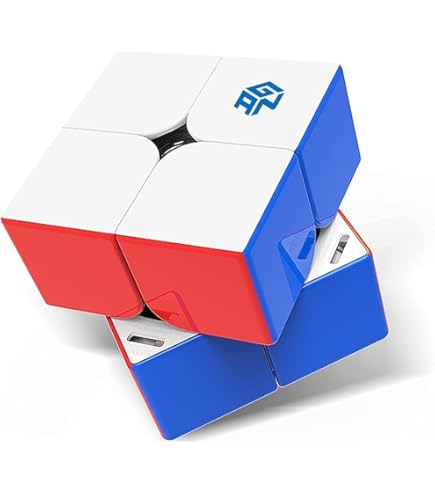 Amazon.com: Bukefuno GAN 251 M Pro 2x2 Magnetic Cube Gans Mini